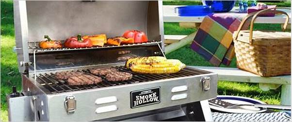 portable gas grills reviews