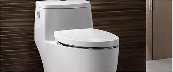 Connected toilet with customizable settings