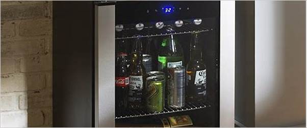 beverage fridge reviews