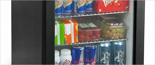 mini fridge for drinks